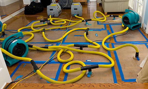 Professional Structural Drying And Dehumidification technician working in Montclair, CA